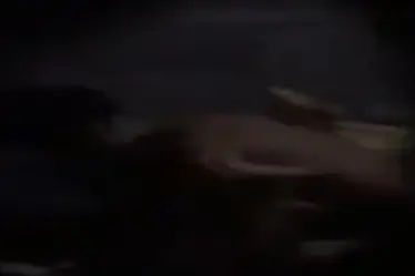Sejoli Bersetubuh Subuh Suara Plok Plok Kasur